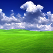 Splendor-grass